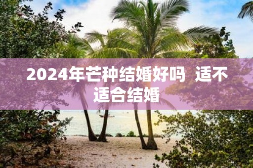 2025年芒种结婚好吗 适不适合结婚