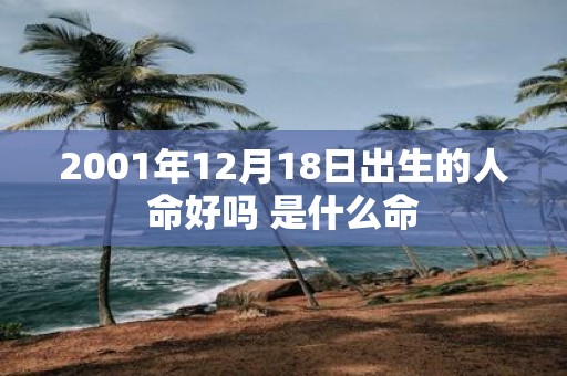 2001年12月18日出生的人命好吗 是什么命