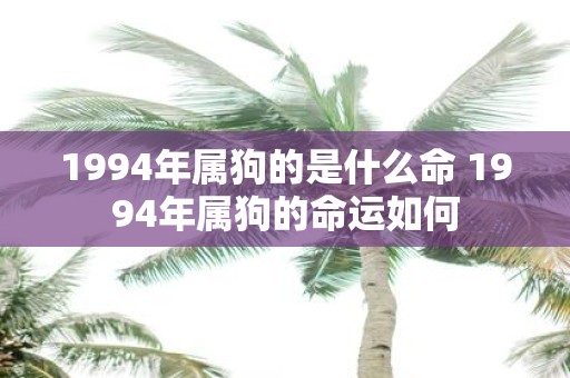1994年属狗的是什么命 1994年属狗的命运如何