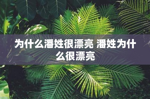 为什么潘姓很漂亮 潘姓为什么很漂亮