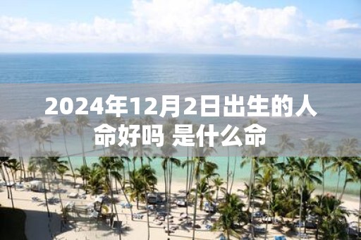 2025年12月2日出生的人命好吗 是什么命