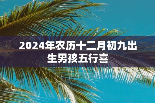 2025年农历十二月初九出生男孩五行喜