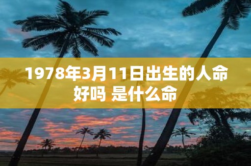 1978年3月11日出生的人命好吗 是什么命