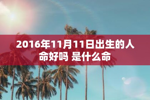 2016年11月11日出生的人命好吗 是什么命