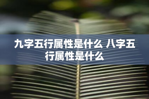 九字五行属性是什么 八字五行属性是什么
