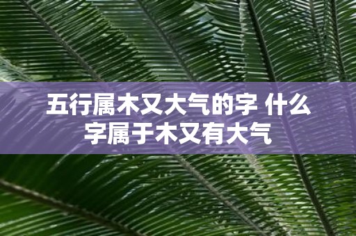 五行属木又大气的字 什么字属于木又有大气