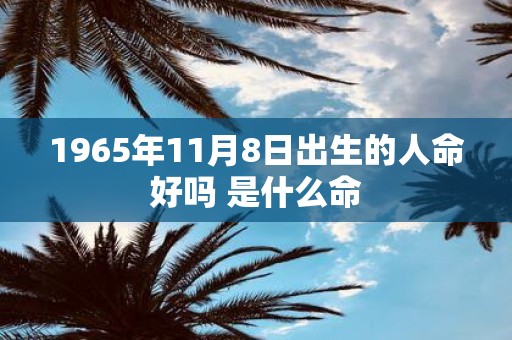 1965年11月8日出生的人命好吗 是什么命