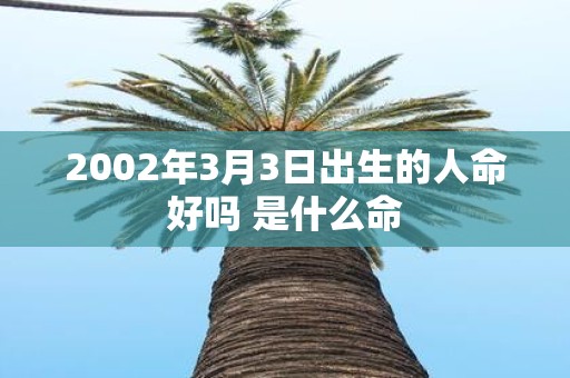 2002年3月3日出生的人命好吗 是什么命
