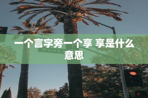 一个言字旁一个享 享是什么意思