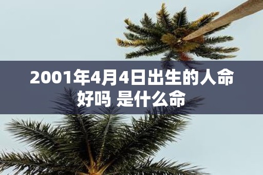 2001年4月4日出生的人命好吗 是什么命