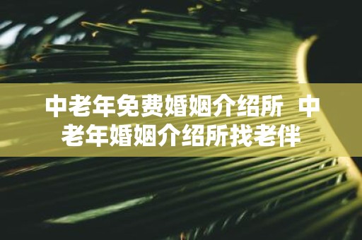 中老年免费婚姻介绍所 中老年婚姻介绍所找老伴