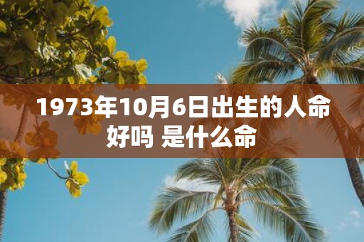 1973年10月6日出生的人命好吗 是什么命