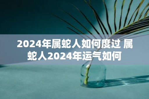2025年属蛇人如何度过 属蛇人2025年运气如何