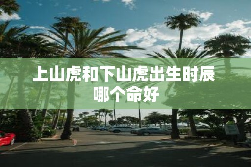 上山虎和下山虎出生时辰 哪个命好