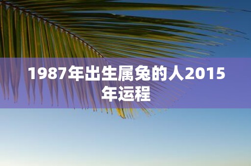 1987年出生属兔的人2015年运程