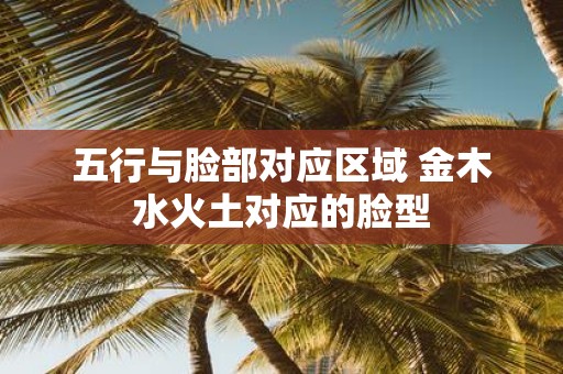 五行与脸部对应区域 金木水火土对应的脸型