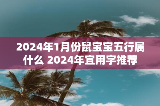 2025年1月份鼠宝宝五行属什么 2025年宜用字推荐