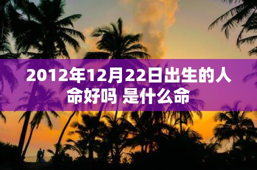 2012年12月22日出生的人命好吗 是什么命
