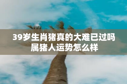 39岁生肖猪真的大难已过吗 属猪人运势怎么样