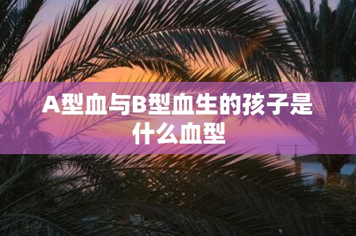 A型血与B型血生的孩子是什么血型