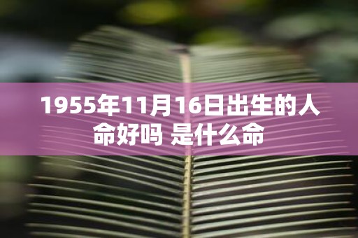 1955年11月16日出生的人命好吗 是什么命