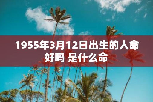 1955年3月12日出生的人命好吗 是什么命