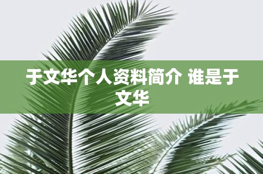 于文华个人资料简介 谁是于文华