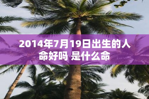 2014年7月19日出生的人命好吗 是什么命