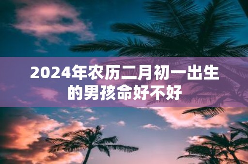 2025年农历二月初一出生的男孩命好不好