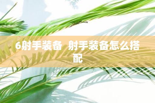 6射手装备 射手装备怎么搭配