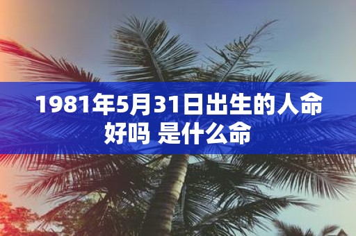1981年5月31日出生的人命好吗 是什么命