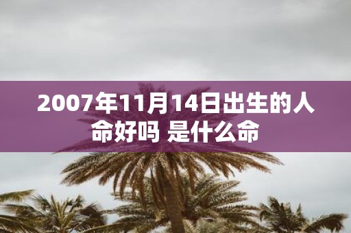 2007年11月14日出生的人命好吗 是什么命