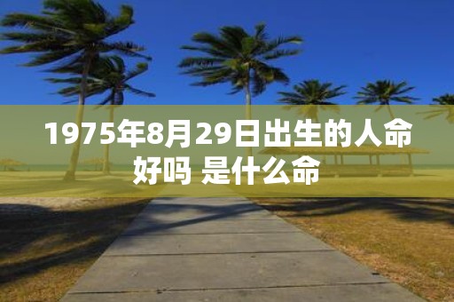 1975年8月29日出生的人命好吗 是什么命