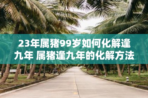 23年属猪99岁如何化解逢九年 属猪逢九年的化解方法