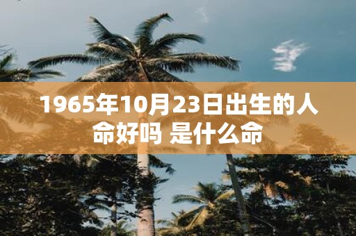 1965年10月23日出生的人命好吗 是什么命