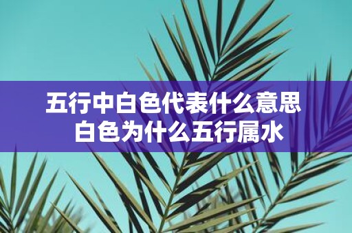 五行中白色代表什么意思 白色为什么五行属水