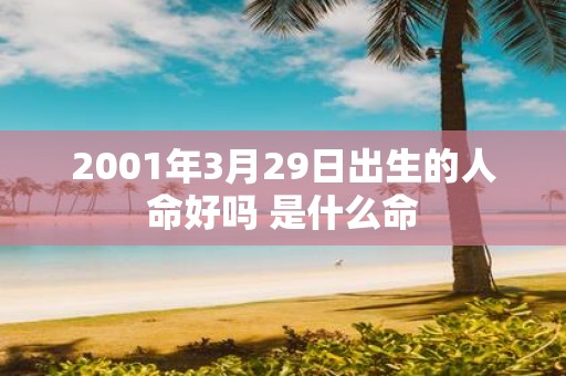 2001年3月29日出生的人命好吗 是什么命