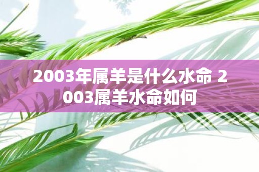 2003年属羊是什么水命 2003属羊水命如何