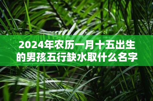 2025年农历一月十五出生的男孩五行缺水取什么名字好