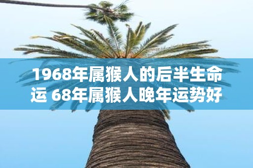 1968年属猴人的后半生命运 68年属猴人晚年运势好吗