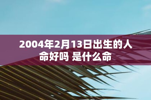 2004年2月13日出生的人命好吗 是什么命