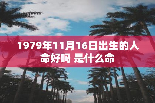 1979年11月16日出生的人命好吗 是什么命