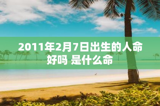 2011年2月7日出生的人命好吗 是什么命