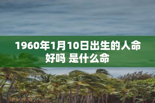 1960年1月10日出生的人命好吗 是什么命