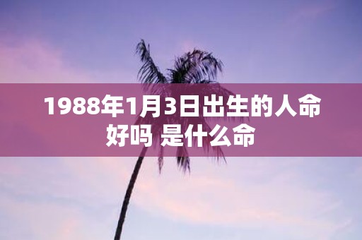 1988年1月3日出生的人命好吗 是什么命