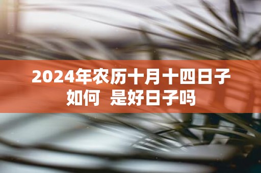 2025年农历十月十四日子如何 是好日子吗