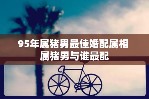 95年属猪男最佳婚配属相 属猪男与谁最配