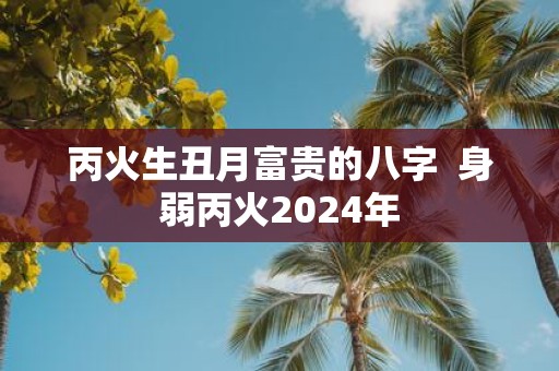 丙火生丑月富贵的八字 身弱丙火2025年