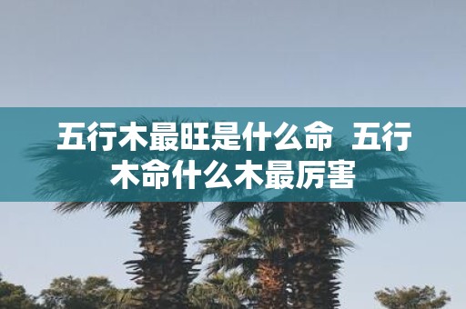 五行木最旺是什么命 五行木命什么木最厉害