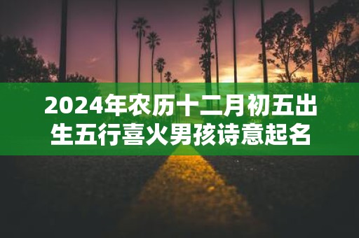 2025年农历十二月初五出生五行喜火男孩诗意起名